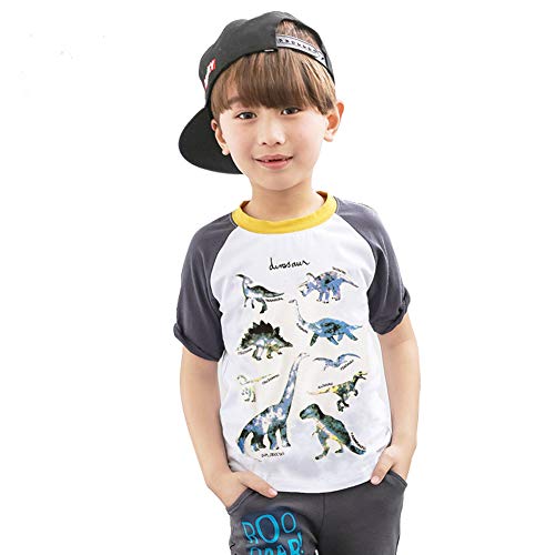 Image of Julylee Girls Cotton Pink Sweatshirts Hoodie Dinosaur Printed Tops