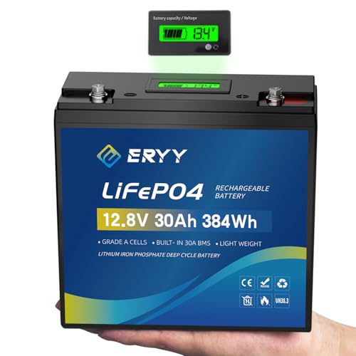 ERYY 12V 30Ah LiFePO4 Battery with BMS & LCD, 5000+ Cycles