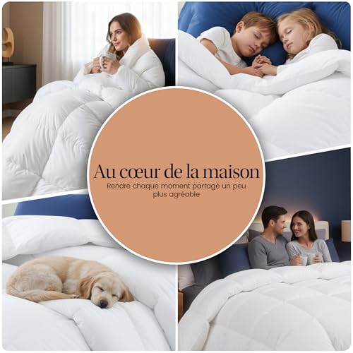 Couette 220x240 cm Lit 2 Personnes Utopia Bedding Toute Saison Blanc