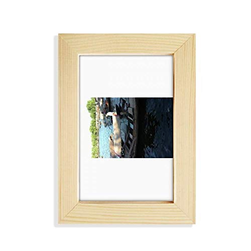 TVCΓ fXNgbv̖ؐ̃tHgt[摜|pG5 x 7C`