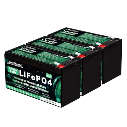 EverExceed 12V 8Ah Lifepo4 Battery 3000+ Deep Cycles 12V Lithium Battery for Solar/Wind Power Lighting Fish Finder Power Wheels and More Built-in 10A BMS 2 Pack