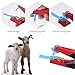 MINYULUA 300PCS 1-100 Number Plastic Livestock Ear Tag Farm Animal Tags with Ear Tags Applicator Plier and Ear Tag Tool for Sheep Goat Dog Cattle Pig