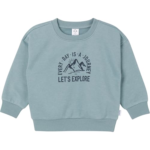 Image of Gerber baby-boys Baby Boys Toddler 2-piece Fleece Sweatshirt and Jogger Set