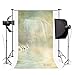Produktbild fdswdfg221 3x5ft Poly Indoor Photography Background Seamless Customized Backdrop Various Scenes Swan Trip on The Lake