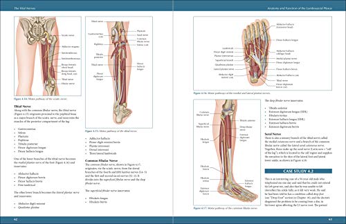 The Vital Nerves: A Practical Guide for Physical Therapists