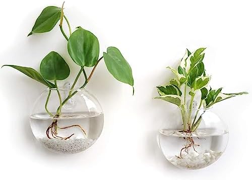 Orimina Pack of 2 Glass Planters Wall Hanging Planters Round Glass Plant Pots Hanging Air Plant Pots Flower Vase Air Plant Terrariums Wall Hanging Plant Container, 4.7 Inches Diameter