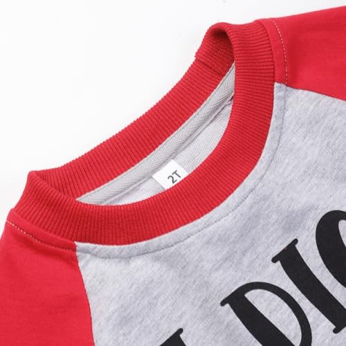 Image of Akyzic Boys Sweatshirts Cotton Long Sleeve Crewneck Pullover Toddler Kids Winter Warm Shirt Sweater Tops 3t-8t