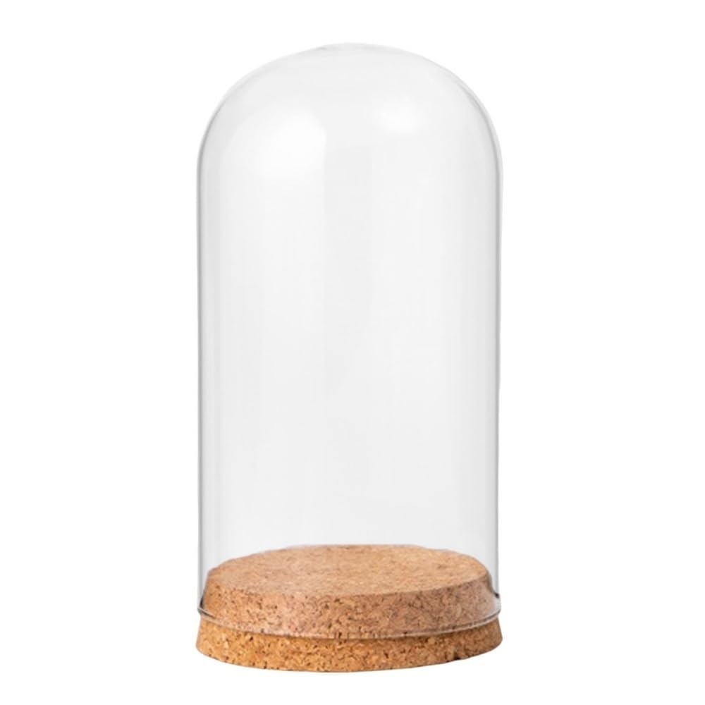 LOMNCHSG Glass Cloche Dome, Glass Cloche Dome Wooden Base Cover Dry Flower Ornament Multiple Sizes 8-9cmx10-18cm(9cmx12cm)