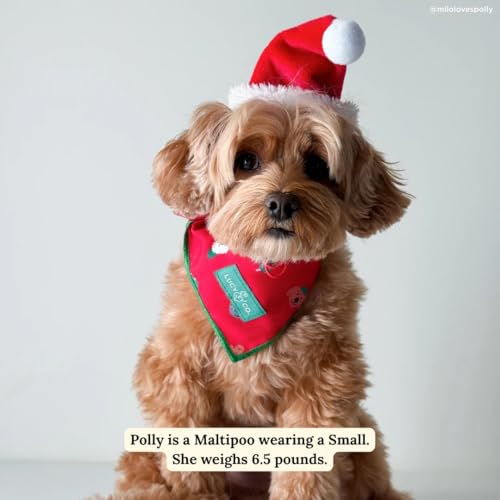 Pañuelo navideño para perro pequeño Lucy & Co miniatura 4