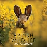 2026 British Wildlife 12' x 12' Square Hanging Wall Calendar with Stunning Nature Scenery of Brtian's Beautiful Animals - No Plastic, Environmentally Friendly. Daily, Weekly, Monthly 12 Month Planner