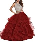  Microsoft Zoo Tycoon Complete Collection - Juego (1300 MB, 64 MB, 233 MHz)