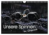 Meist als eklig beschimpft, sollen Text und Gedicht das Verhältnis zu unseren Spinnen ein wenig entspannen. , von Autor(in): Carl-Peter Herbolzheimer