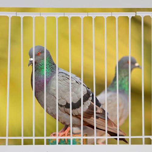 Porte de pigeonnier renforcée en fer 33x26 cm pour cage à oiseaux - 6