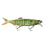 Schwimmverhalten: langsam schwimmend