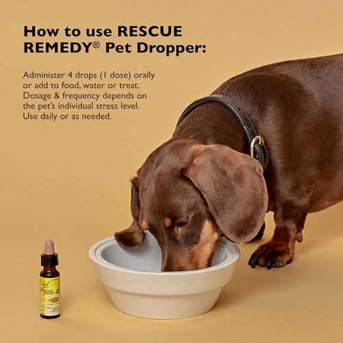 Bach Rescue Remedy PET Pipette 20 ml, natürlicher Stressabbau, beruhigend für Hunde, Katzen und andere Haustiere, homöopathische Blütenessenz, Donner, Feuerwerk & Reisen, Trennung, Sedative-Free