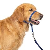PupSensei Headcollar for Dogs, Extra Soft Padded, Reflective, No Pull Dog Collar, Gentle Leader for Dogs with Durable Nylon Leash, Padded Handle - Navy Blue (Large)