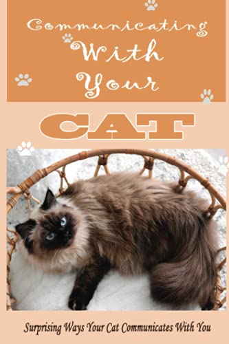 Communicating With Your Cat: Surprising Ways Your Cat Communicates With