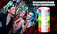 Einlassbänder aus Tyvek ohne Aufdruck 19 x 255 mm - 1000 Stück Party Eintrittsbänder - Selbstklebend und Wasserdicht Festival Armbänder - Club Bänder
