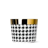 Sieger by Fürstenberg