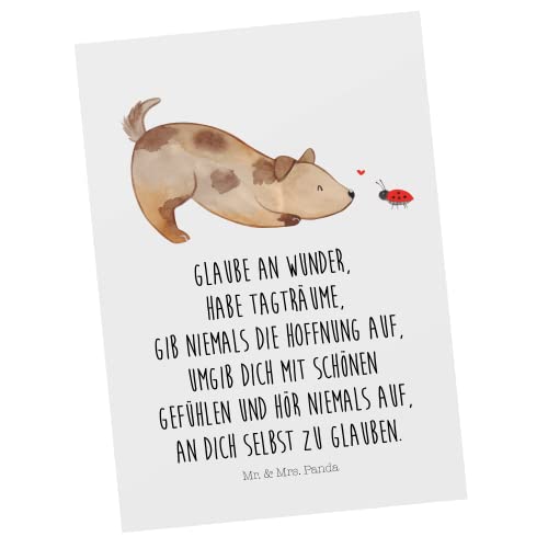 Mr. & Mrs. Panda bildkarte Hund Marienkäfer - Geschenk, Grußkarte, Mischlingshund, Ansichtskarten, Sprüche, Post ...