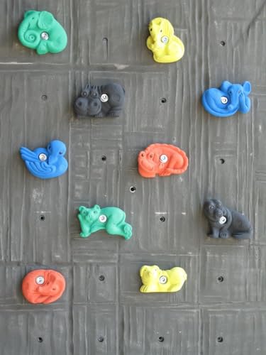 Poignées d'escalade Zoo grises prises de bloc pour pan mural - 2
