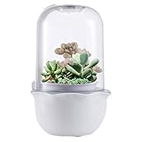 E SUPEREGROW Smart Succulents pods Indoor Garden kit with LED Plant Smart Grow Light and Timer All-in-one Succulents Smart Garden Indoor Garden Kit