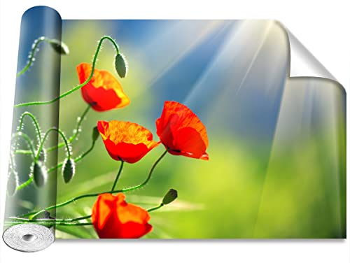 Papier peint coquelicots masquez les imperfections murales avec ce décor auto-adhésif - 2