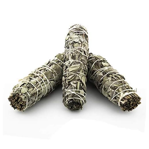 3 vit salvia fläckar, renande rengöring ört Positiv energi Stressavlastning Aromaterapi Mood Booster för yoga, meditation, frigör negativitet | Förpackning med 3 små pinnar 4-12,5 tum (10-12 cm)
