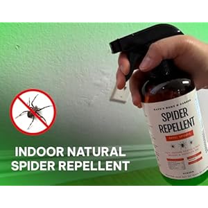 Kates-Home-Garden-Spider-Repellent-Indoor-Peppermint-Oil-Spray-for-Bugs-Spider-Spray-for-Indoors-Outdoors-Patio-16oz-Non-Toxic-Pet-Safe - Cucciolini Doodles   Kates-Home-Garden-Spider-Repellent-Indoor-Peppermint-Oil-Spray-for-Bugs-Spider-Spray-for-Indoors-Outdoors-Patio-16oz-Non-Toxic-Pet-Safe