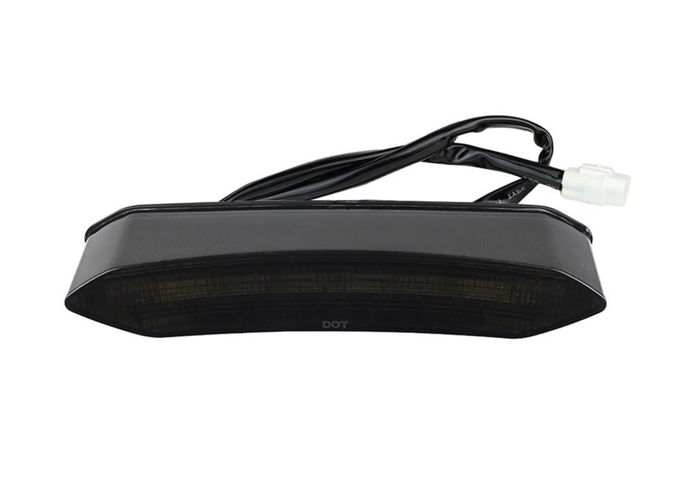 DAGMARA Moto Freno Luces Trasera Cola Accesorios para motocicleta, luz trasera LED de 12 V, luces freno, indicador para ATV, bicicleta playa 700 2006-2018