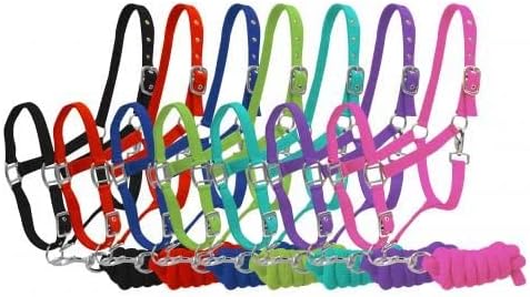 Adjustable 2-Ply Nylon Halter w/ 7' Lead