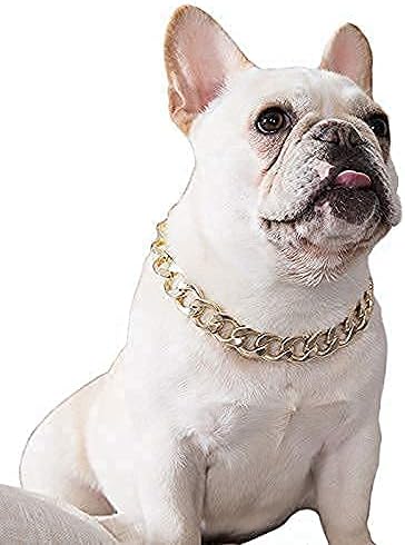 Elnur LTD Gold Chain Dog Collar- Metal 