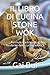IL LIBRO DI CUCINA STONE WOK: Formule tradizionali e moderne della cucina asiatica