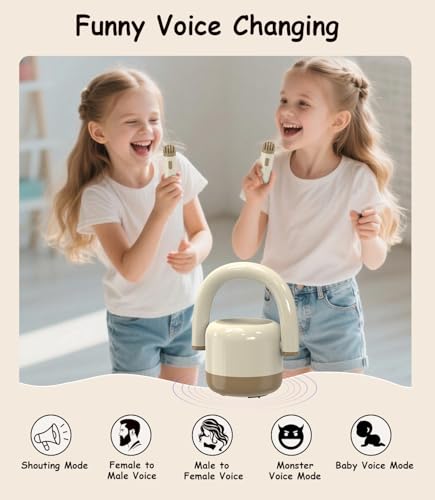 Portable Bluetooth Karaoke Microphone