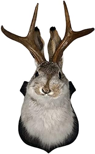 YXMKJOS Jackalope Jackalope Mount Deer Head Wall Mount Resin Deer Head Animal Wall Mount for Home Wall Decoratio
