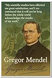 Gregor Mendel Famous Quote Poster – 'Scientific Studies and Great Satisfaction' – 18 inch x 12 inch