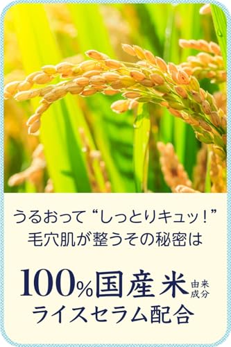 毛穴撫子『お米のマスク10枚』