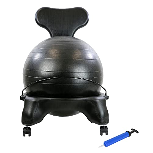 10 Best Exercise Ball Chairs Yoga Ball Chairs for Office & Home Reviews