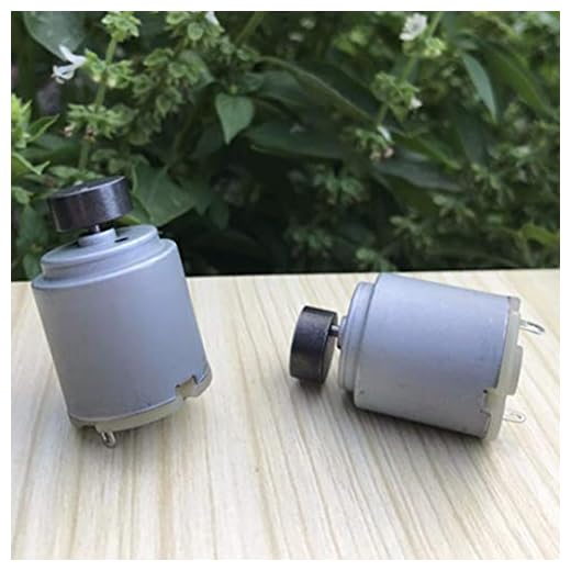 FTDDFJAS 2 unids R260 Fuerte Motor Vibrador DC 12 V 24 V Micro Vibración Motores Para DIY Masajeador Modelo