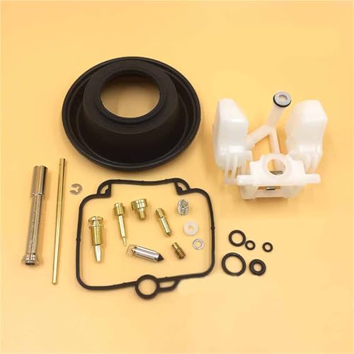 Kit carburador Suzuki DR650SE para solucionar tirones y fugas de gasolina 96-12