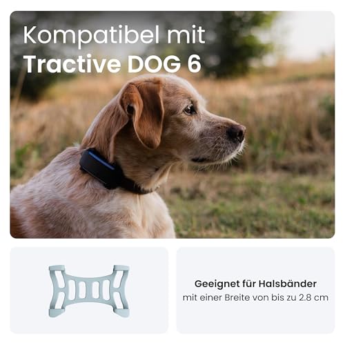 Tractive 2 STK. Gummiklammern für Tractive Dog 6 GPS Tracker (Mint)