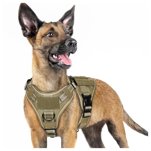 rabbitgoo Tactical Dog Harness Small Sized, No Pull Upgraded Reflective Heavy Duty Molle Vest with Handle, Adjustable Military Service Dog Vest for Walking Hiking Training, Brown, S