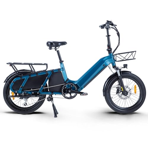 Ficyacto Bici Elettrica Per Adulti,E-Bike Con Sensore Di Coppia,20' X2.4 Pollici Bici Elettriche 48v 20ah Cargo Ebike,Completa A 6 Marce,Freni Idraulici