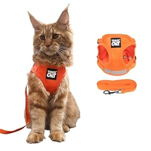Travel Cat Harness and Leash Set – Adjustable Fit Mesh Cat Harness and Reflective Strap – Comfort Escape Proof Harness for Cats, Kitten for Outdoor Walking, Hiking (Medium, Orange)