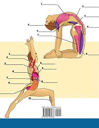Yoga Anatomy Coloring Book: 3-in-1 Compilation | 150+ Incredibly Detailed Self-Test Beginner, Intermediate & Expert Yoga Poses Color workbook - Image 2