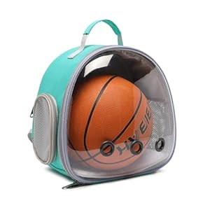   Small-Animal-Carrier-Backpack-Space-Capsule-Bubble-Window-Carrier-Backpack-for-Lizard-Guinea-PigGreen