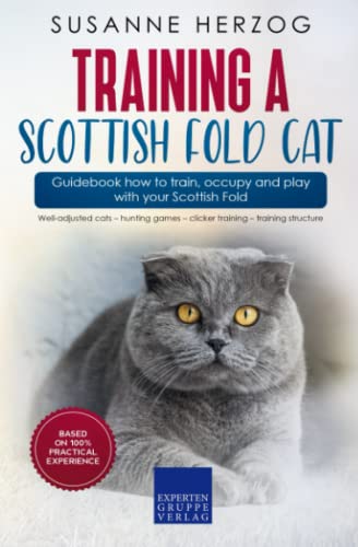  Training a Scottish Fold Cat – Guidebook how to train, occupy and play with your Scottish Fold: Well-adjusted cats – hunting games – clicker training – training structure