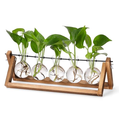 YIBOT Propagation Stations,Plant Terrarium with Wooden Stand,Plant Lover Gifts for ...