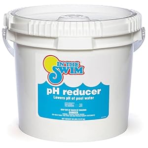 In The Swim pH Reducer for Swimming Pools Spas and Hot Tubs Lowers Alkalinity Prevents Cloudy Water Balances Water 90 Sodium Bisulfate 30 Pounds