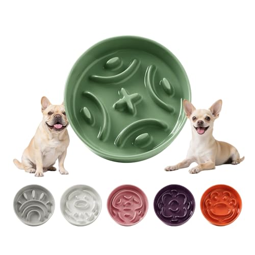 Ciotola Anti Ingozzamento Cani in Ceramica - Ciotola Labirinto per Alimentazione Lenta - Scodella Anti Vomito per Cani Piccoli - 80 g - 16 cm - Verde